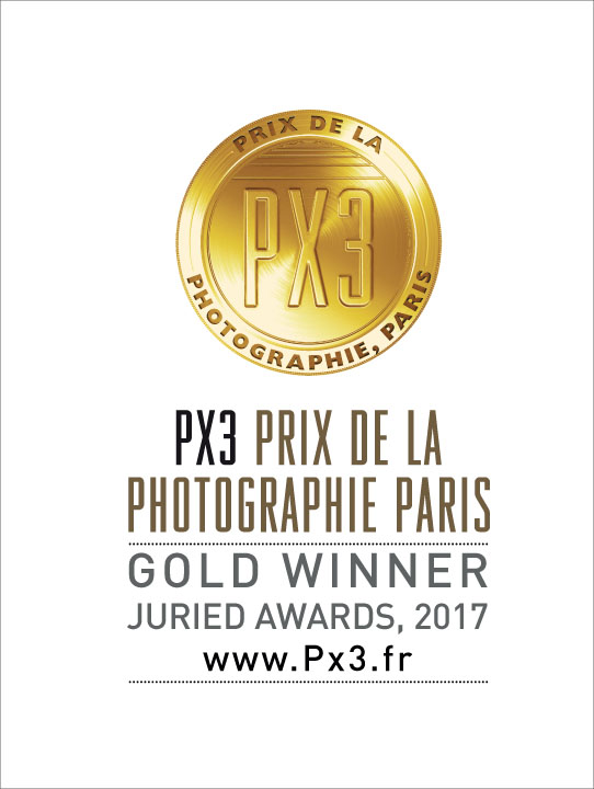 PX3, gold winner, family portrait